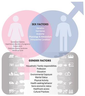 Gender dimension in cardio-pulmonary continuum